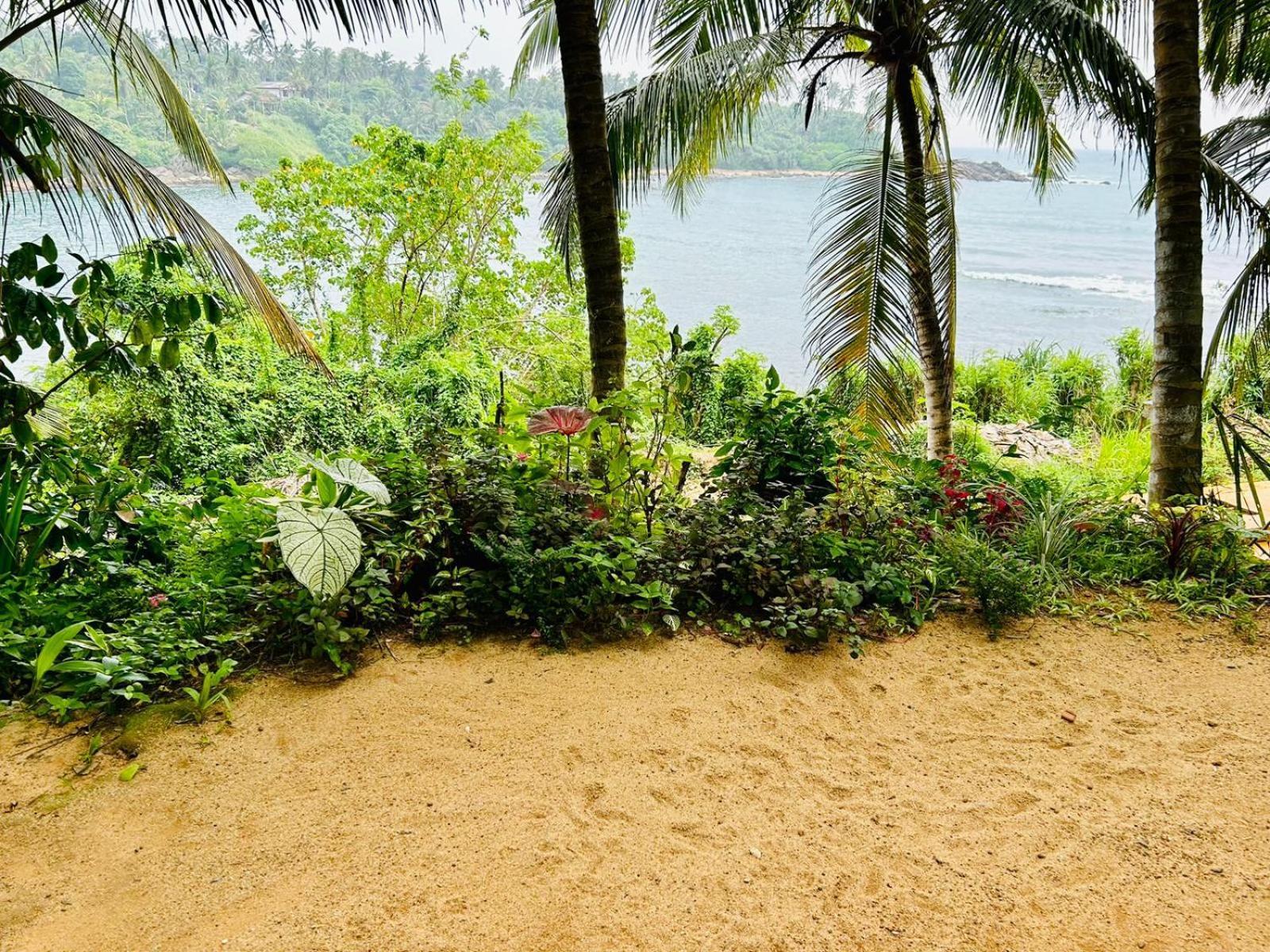 Surf Paradise Tangalle Eksteriør bilde