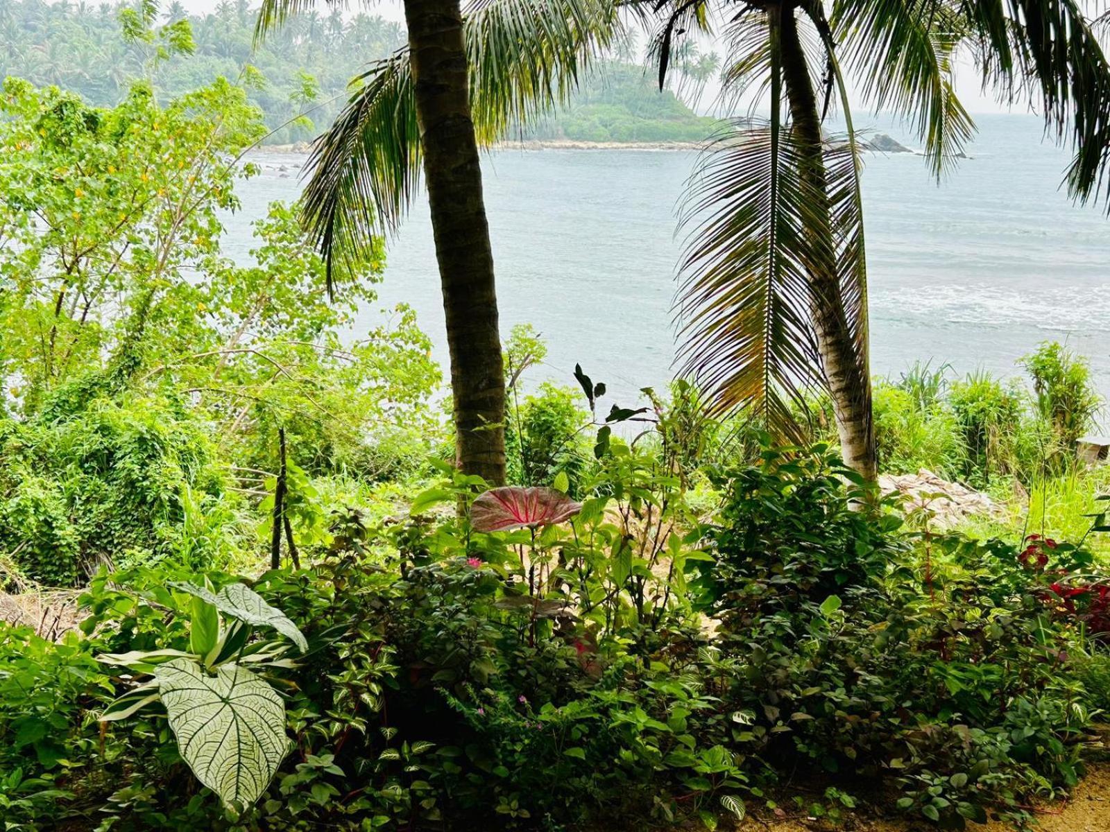 Surf Paradise Tangalle Eksteriør bilde