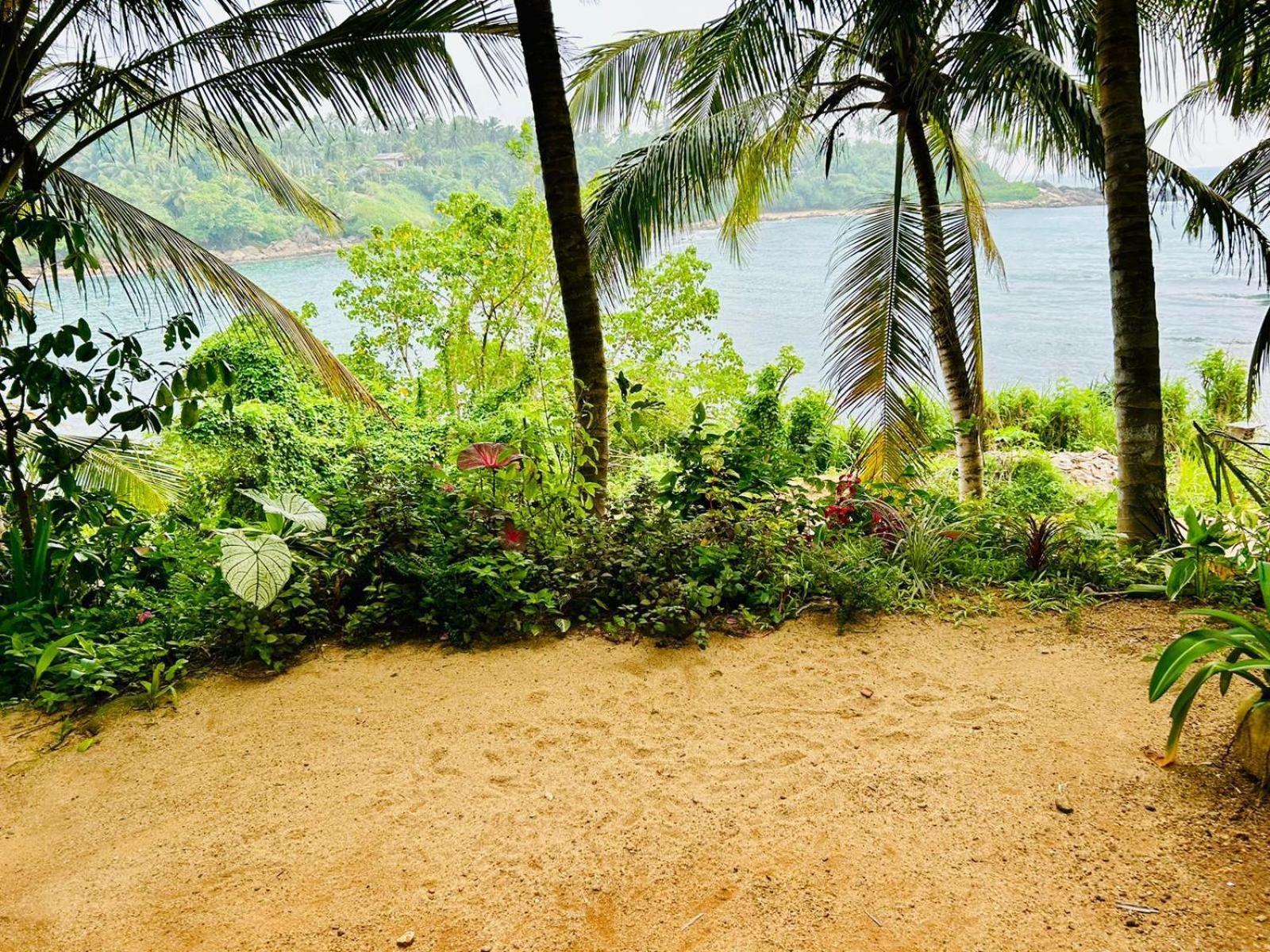 Surf Paradise Tangalle Eksteriør bilde