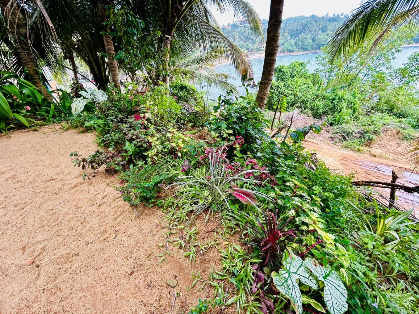 Surf Paradise Tangalle Eksteriør bilde