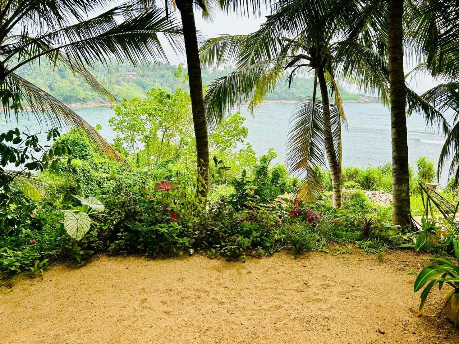 Surf Paradise Tangalle Eksteriør bilde