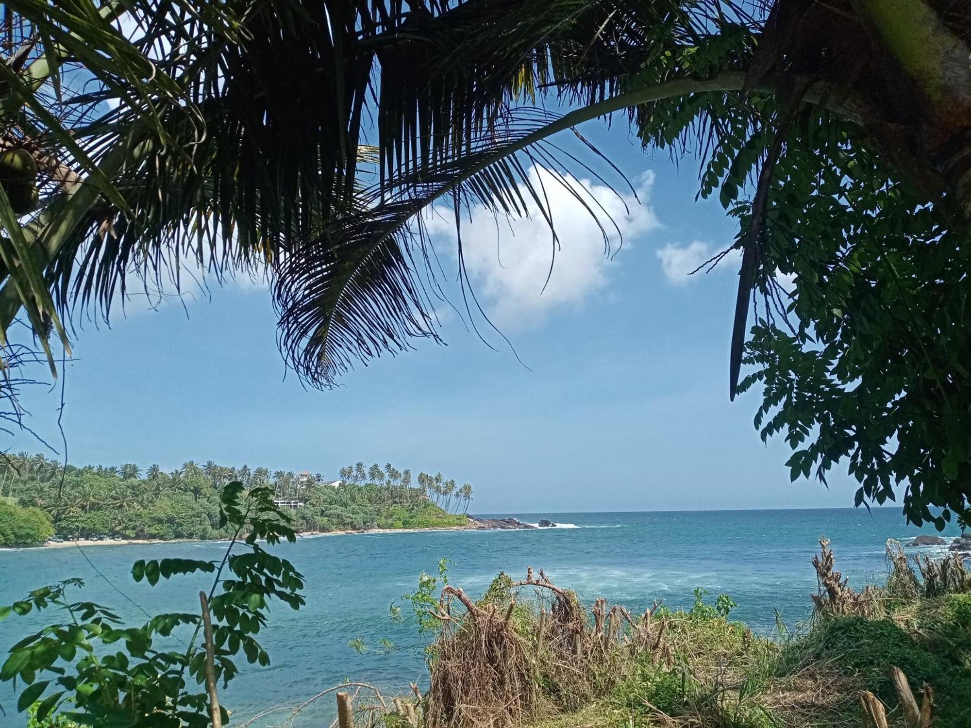 Surf Paradise Tangalle Eksteriør bilde