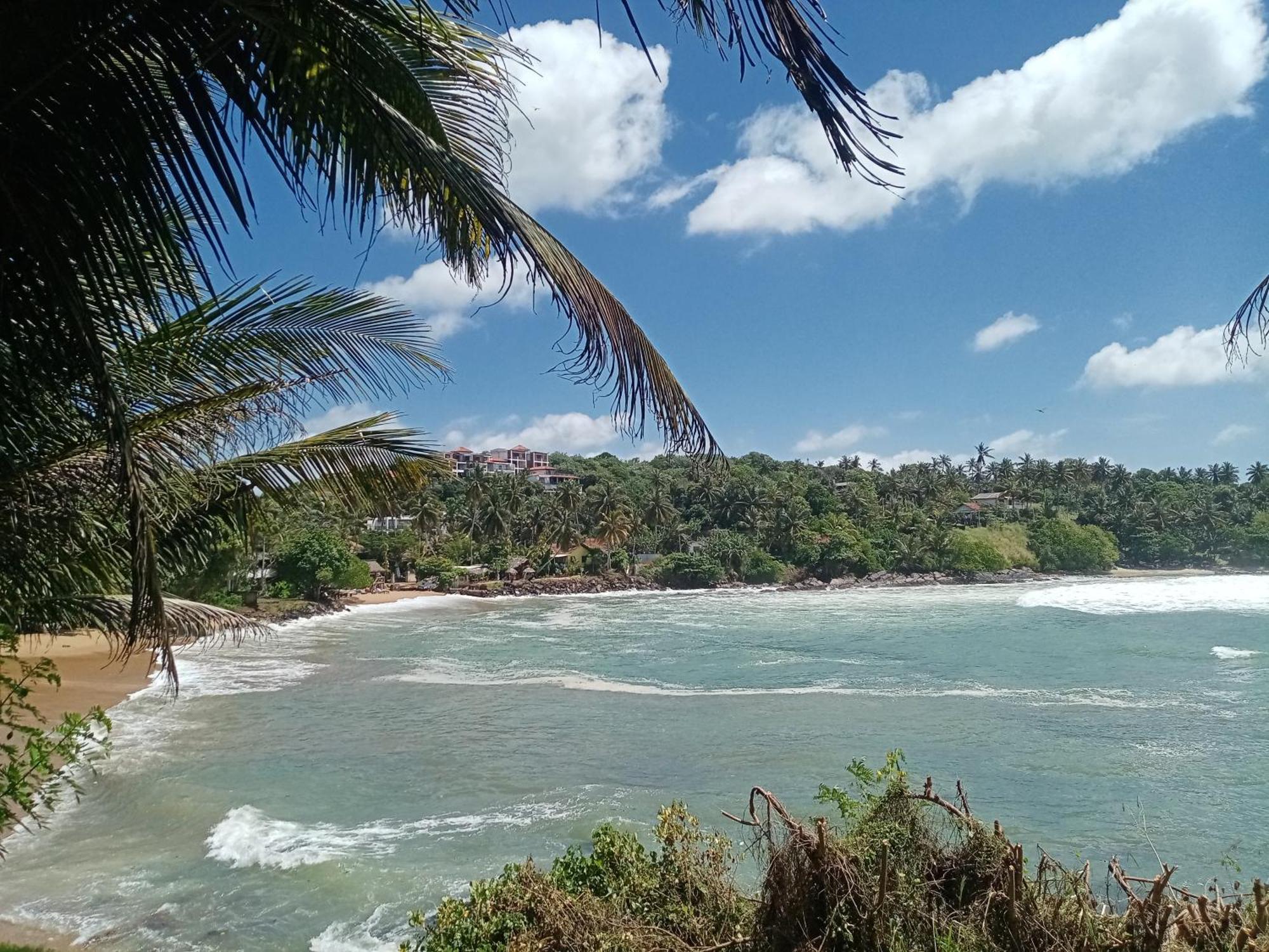 Surf Paradise Tangalle Eksteriør bilde