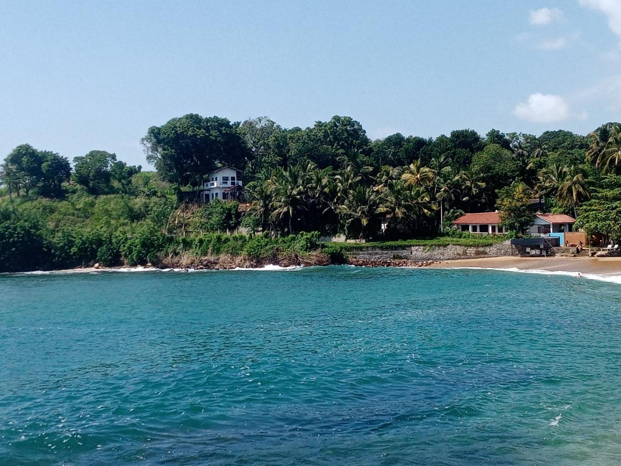 Surf Paradise Tangalle Eksteriør bilde